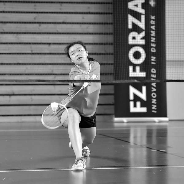 USEE Badminton 2018 Championnat National Top12 DSC9294